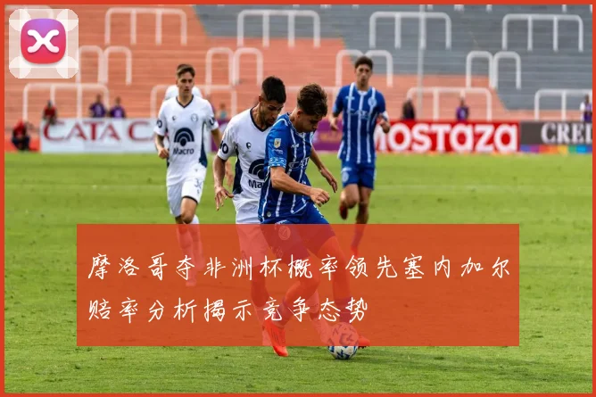 摩洛哥夺非洲杯概率领先塞内加尔赔率分析揭示竞争态势